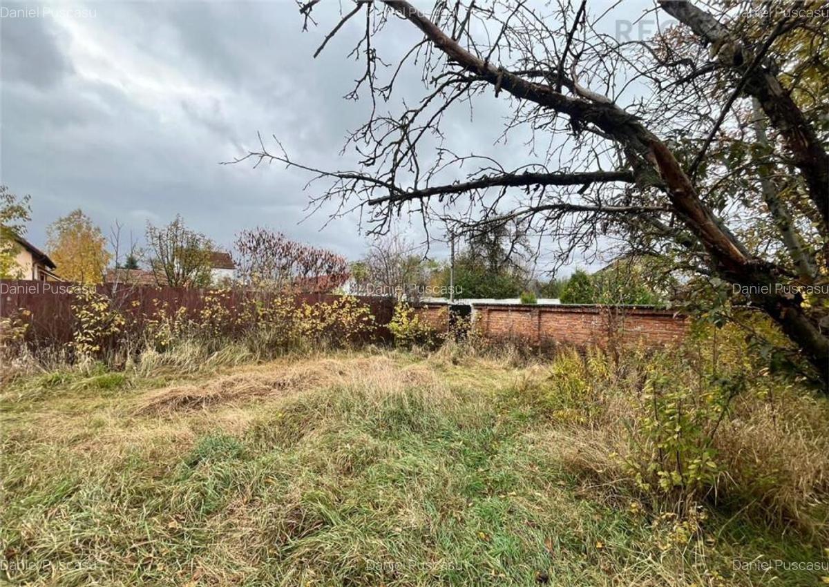 TEREN INTRAVILAN IMPREJUMUIT, SANPETRU - 4