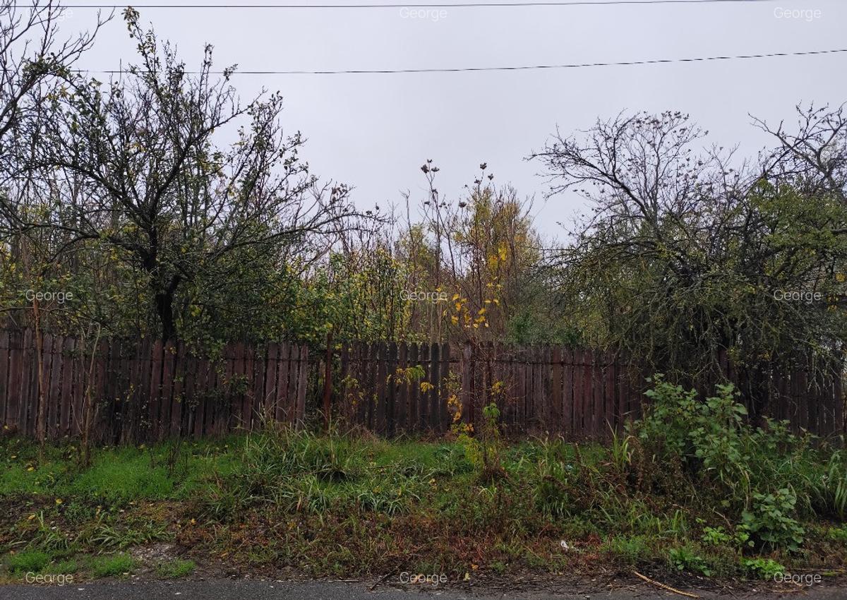 Casa batraneasca plus teren 1600mp Toporu jud. Giurgiu - 12