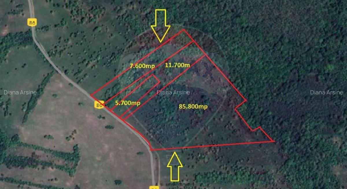 Teren extravilan situat in sat Spata(com. Bara) / Soseaua Principala - 1