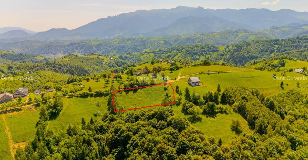 Teren extravilan 2,000mp Pestera / cabana vacanta/natura - 1