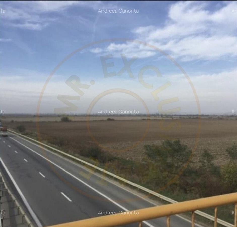 Teren 27.445 mp cu deschidere in Autostrada A1 Pitesti-Bucur - 5