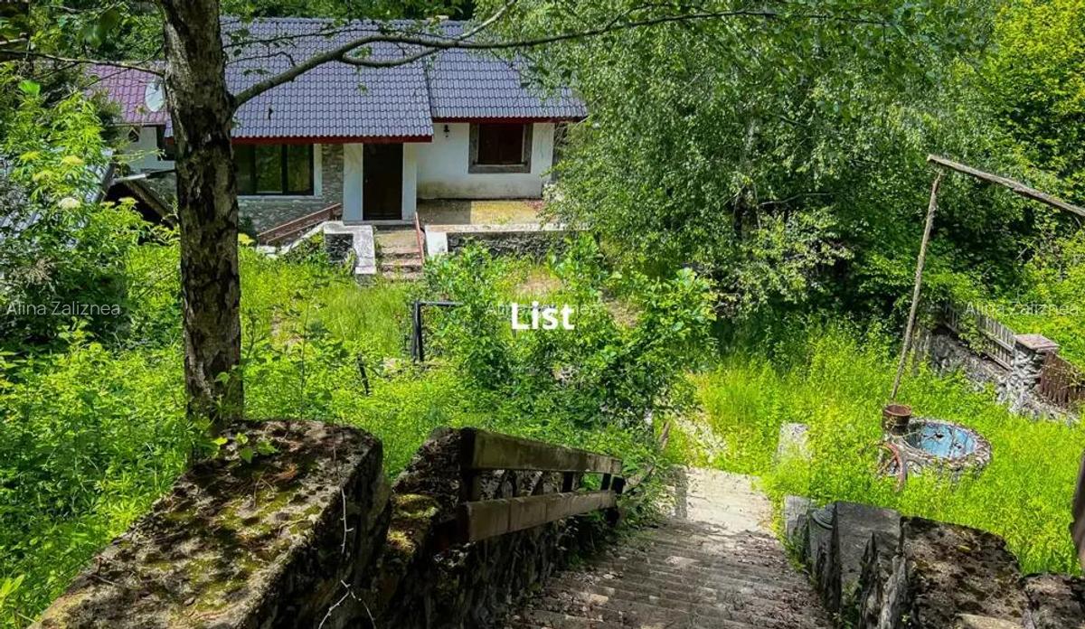 Casuta de vacanta in mijlocul naturii cu piscina - 14