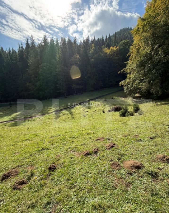 Teren intravilan 28 Ari zona Colibita - 2