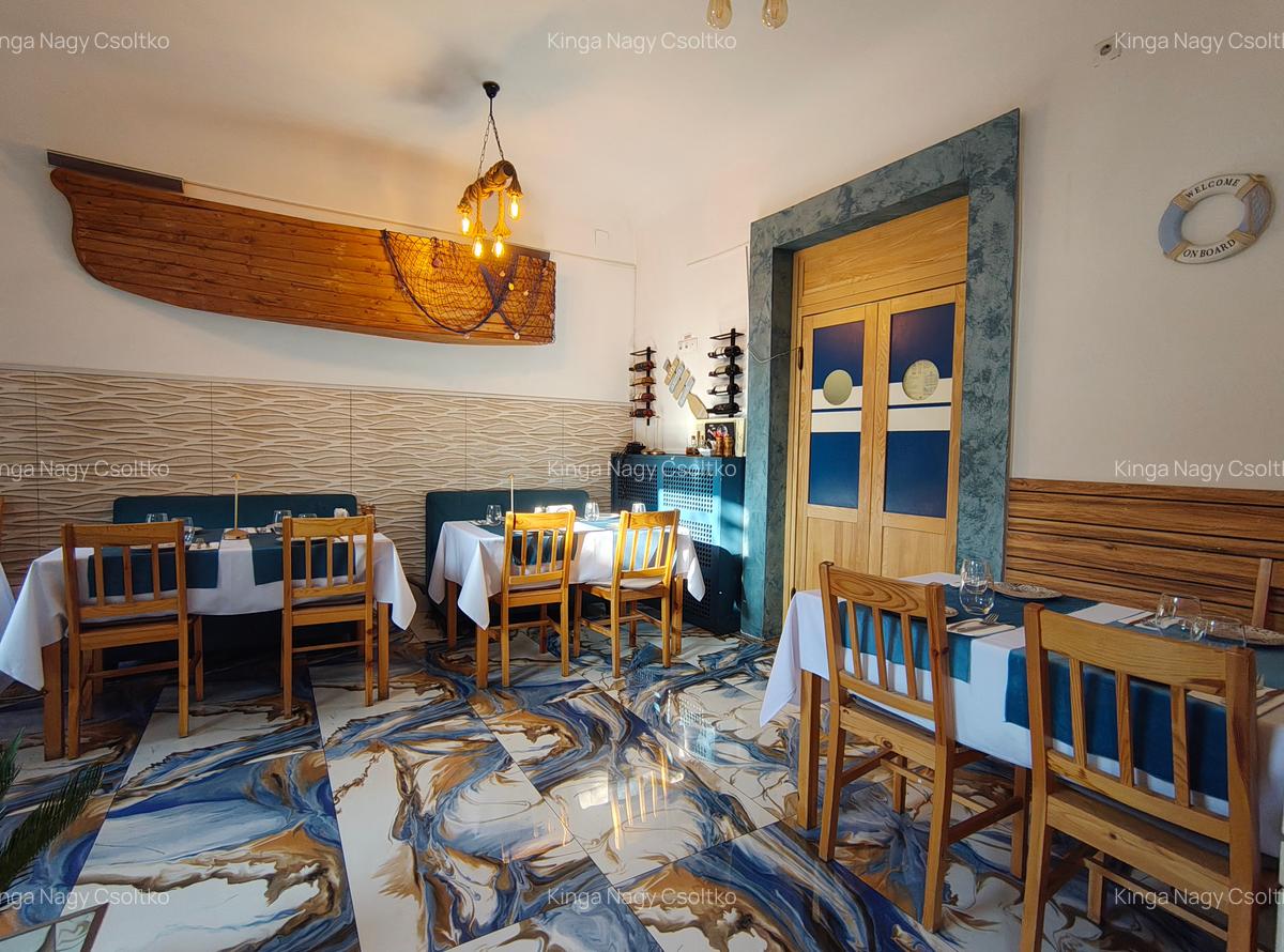 DE VÂNZARE – Spațiu de alimentație publică 53mp+111mp teren - 4