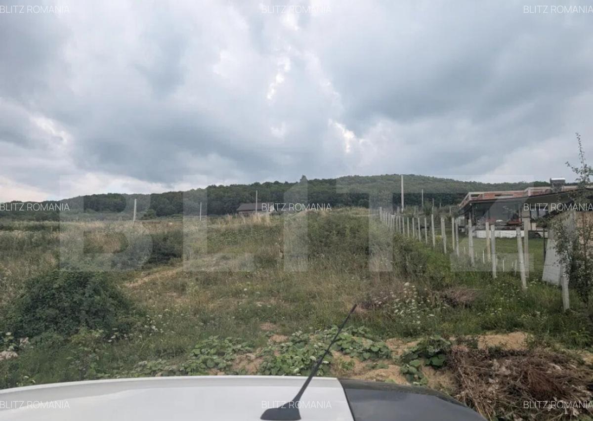 Teren construibil de vanzare, 500 mp sau 1000 mp, Dealu Jel - 5