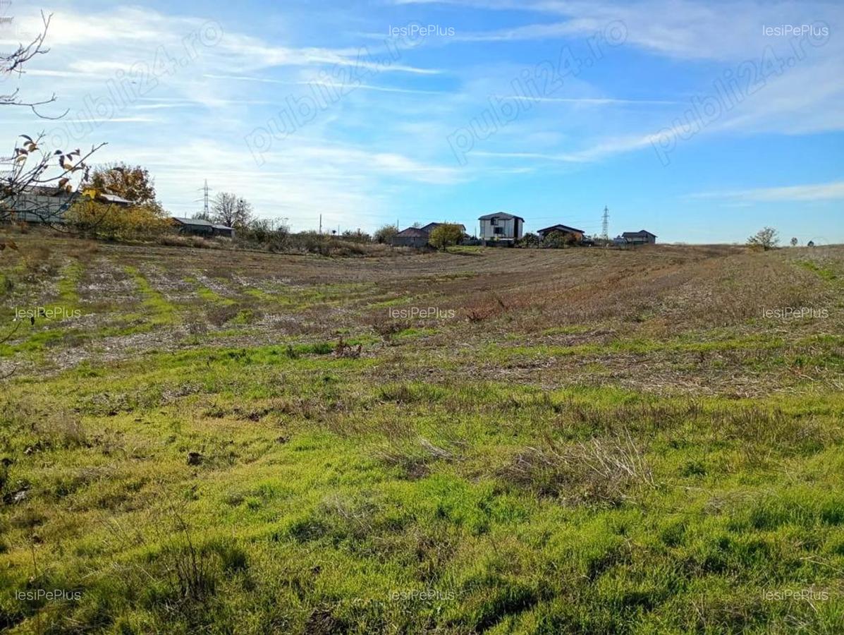 Teren 6.000 mp in Peri?, aproape de Bucure?ti ideal pentru locuin?a sau investi?ie - 4