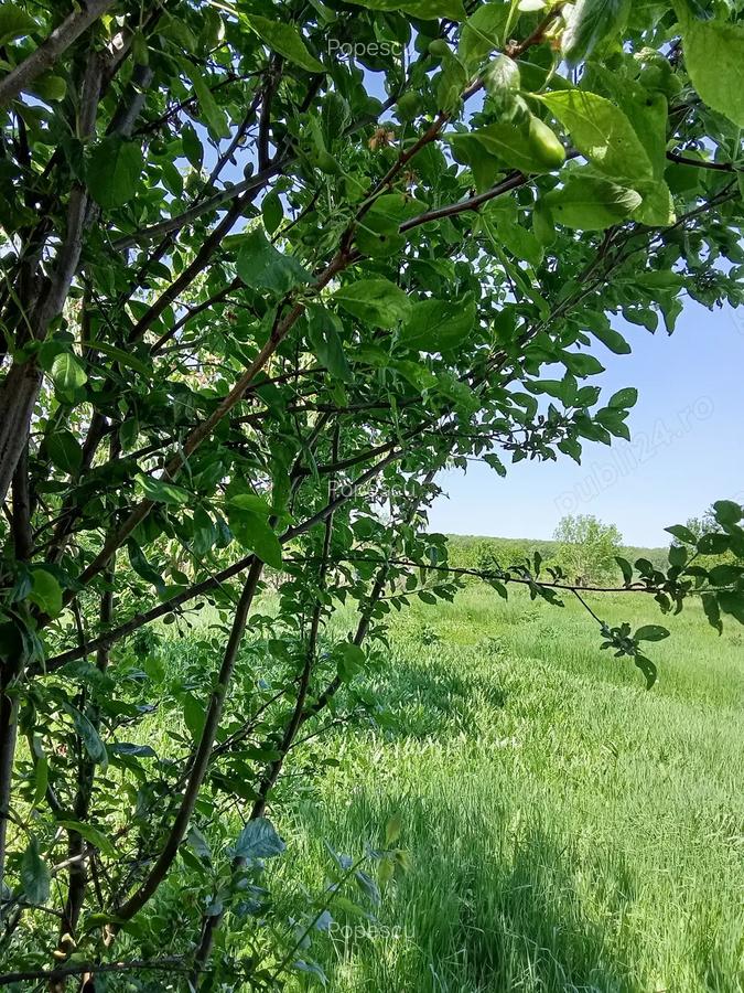 Vindem 2 casu?e de vacanta cu gradina la 35 km de Oradea - 7