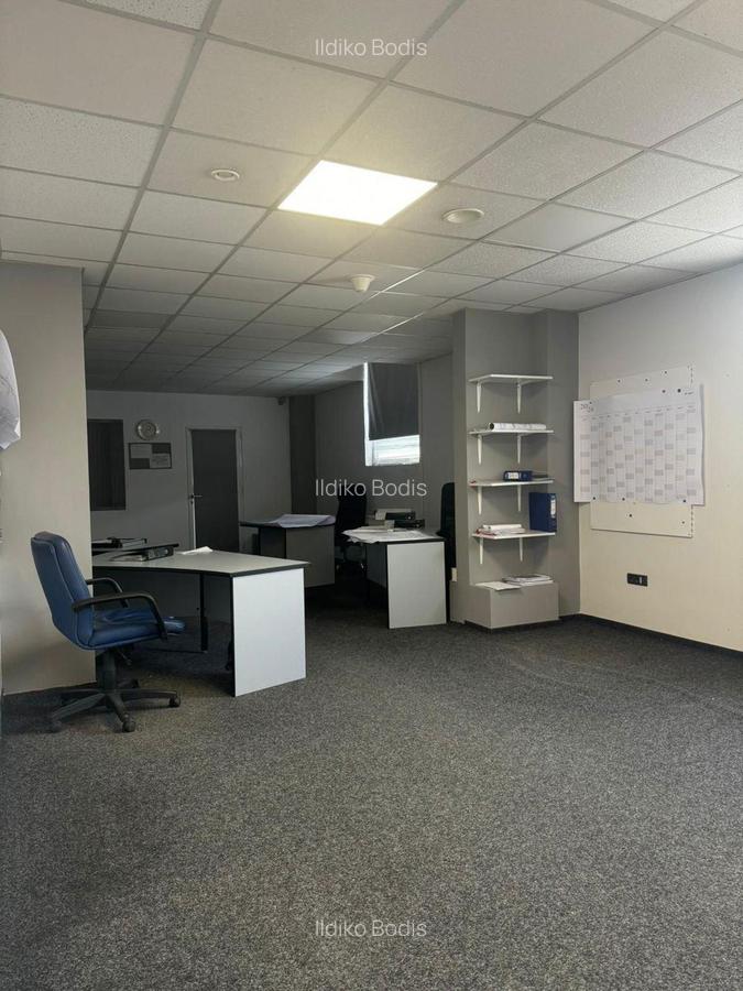 Oportunitate investitionala- hala si cladire in zona semicentrala - 3