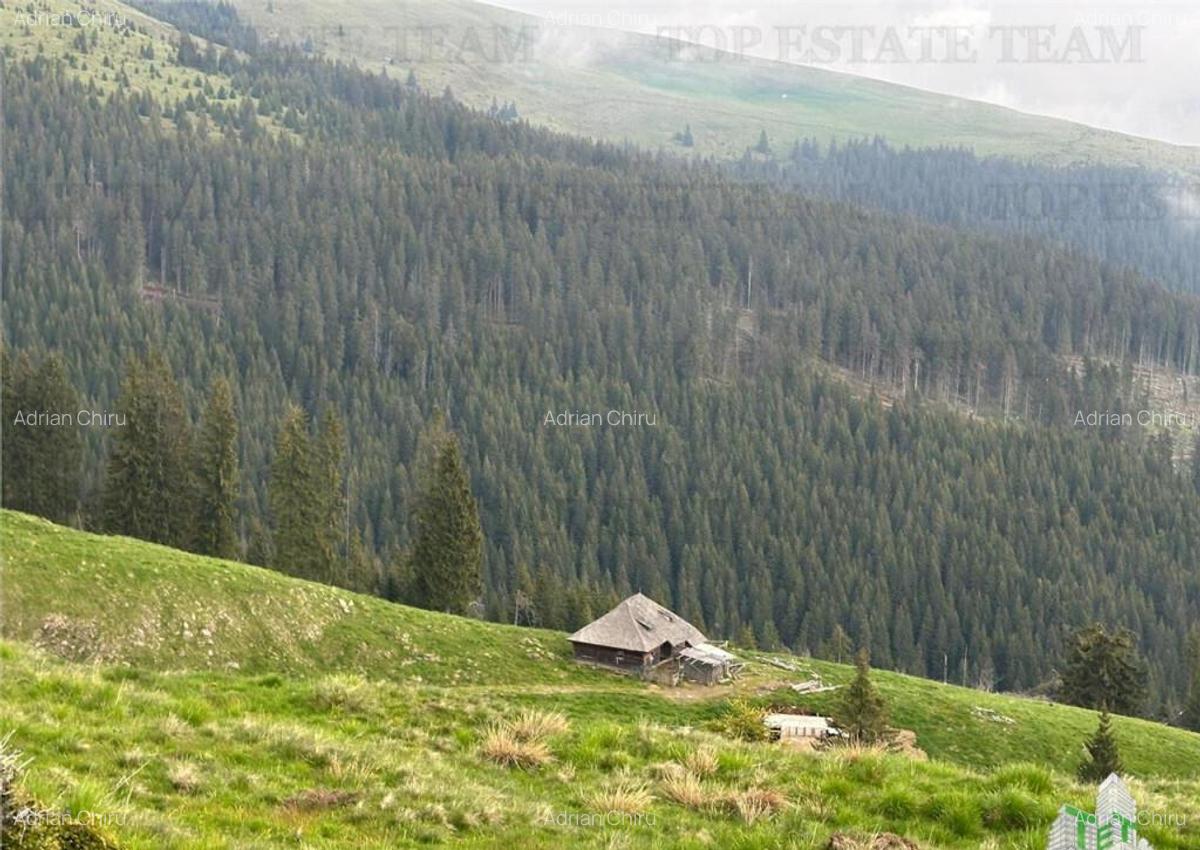 SUPER OPORTUNITATE, DE VANZARE O PROPRIETATE SPECIALA, MUNTE - 18