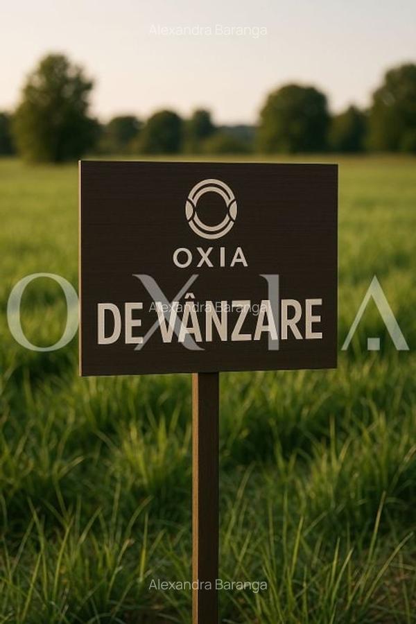 AX1152 Berecsaul Mic, Teren Intravilan Pentru Constructii, 20 Euro/Mp - 4