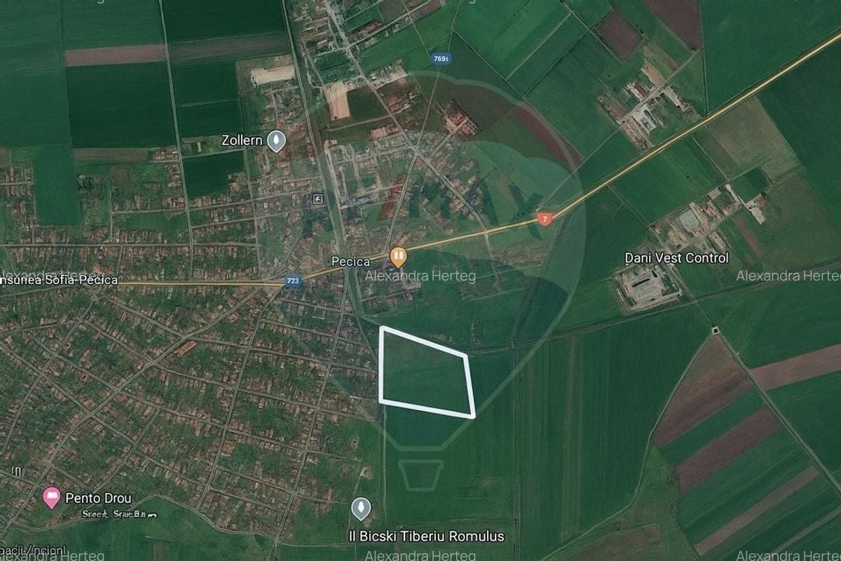 Teren extravilan cu iesire la drumul principal- Pecica, Arad - 3
