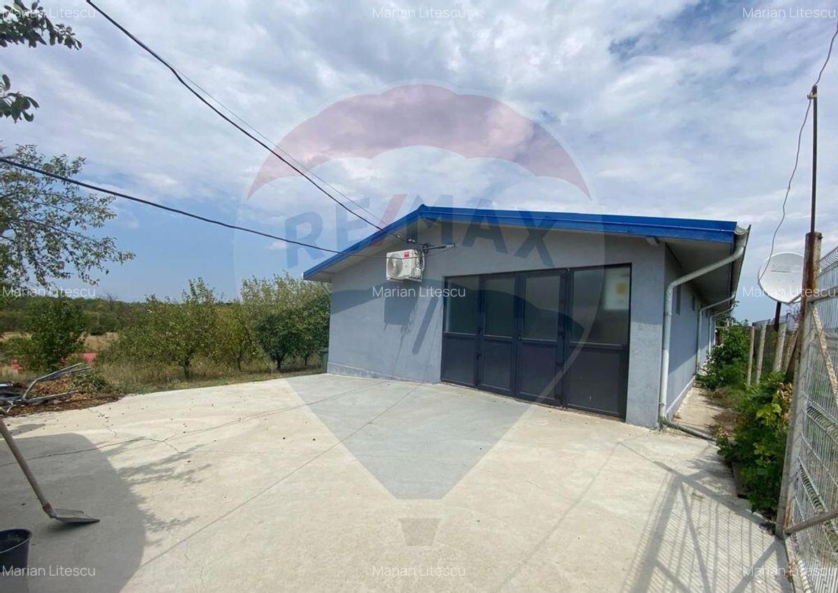 Teren cu hala, Bucsani, Crevedia / DN 61 (A1, A0) 40 Km ... - 6