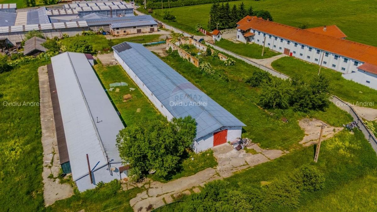 Spatiu industrial de 700mp de inchiriat - 9