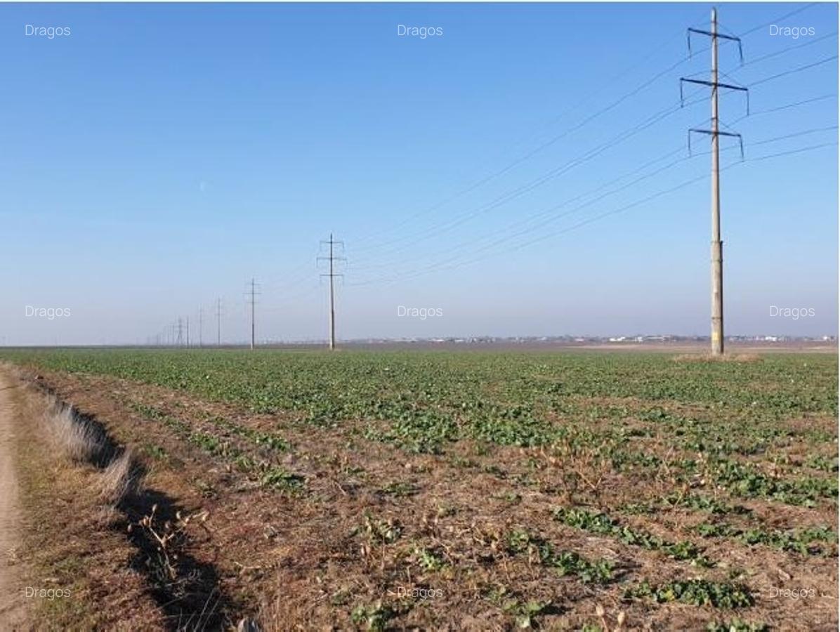 Teren intravilan 20.000 mp zona ANL Braila - 3