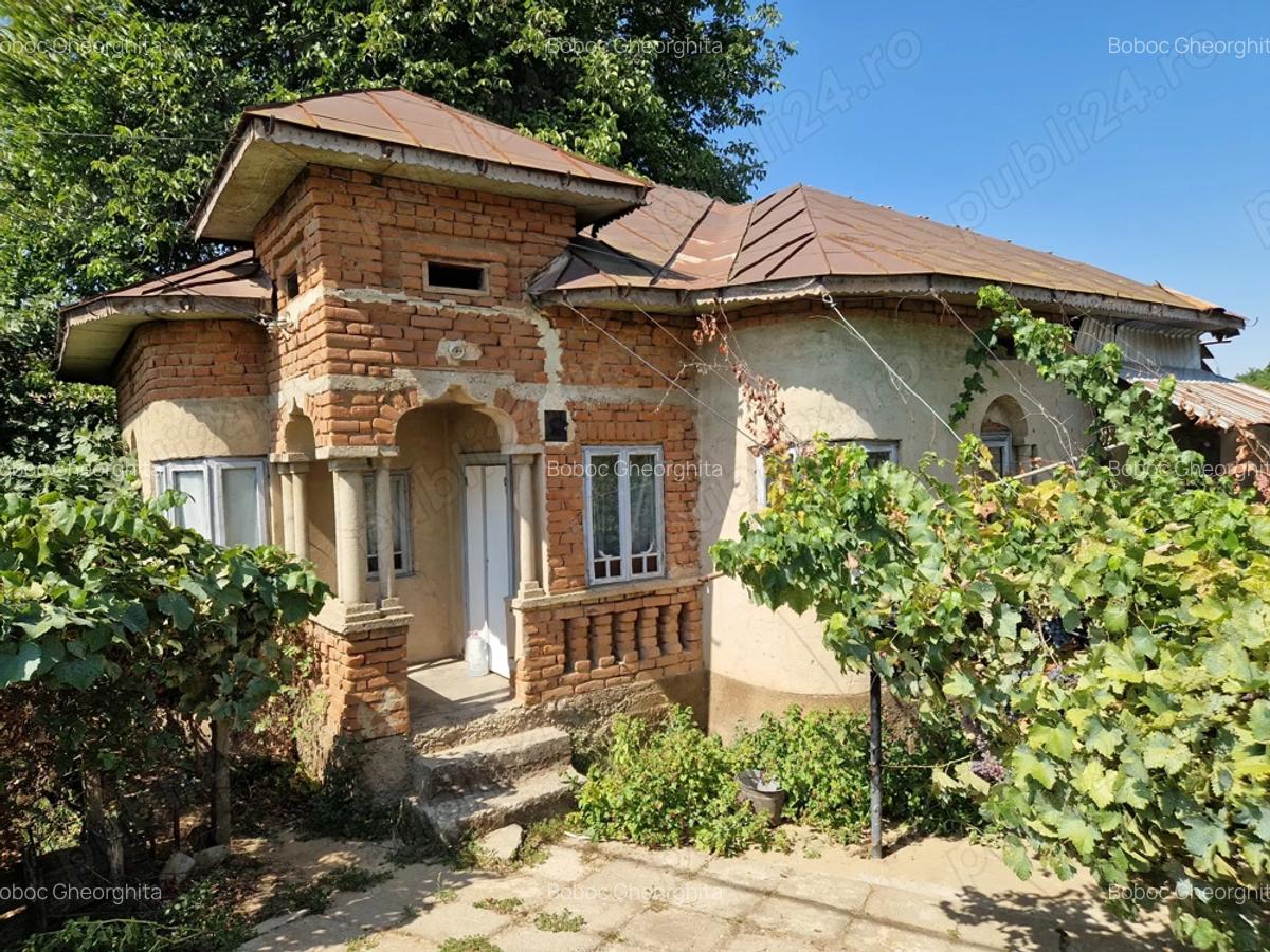 Casa + curte 900m2, comuna Daneti, jud Dolj - 1