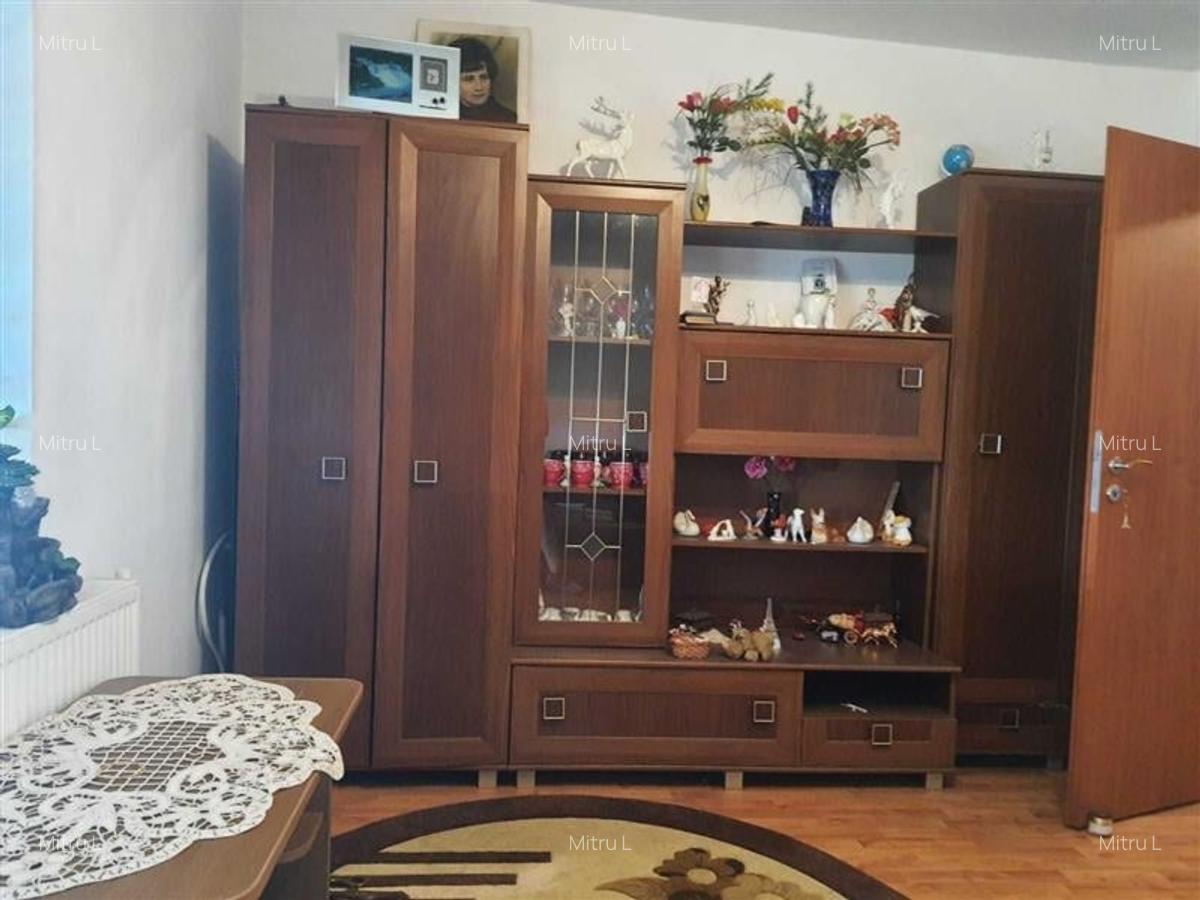 Apartament 1 camera Blascovici - 1