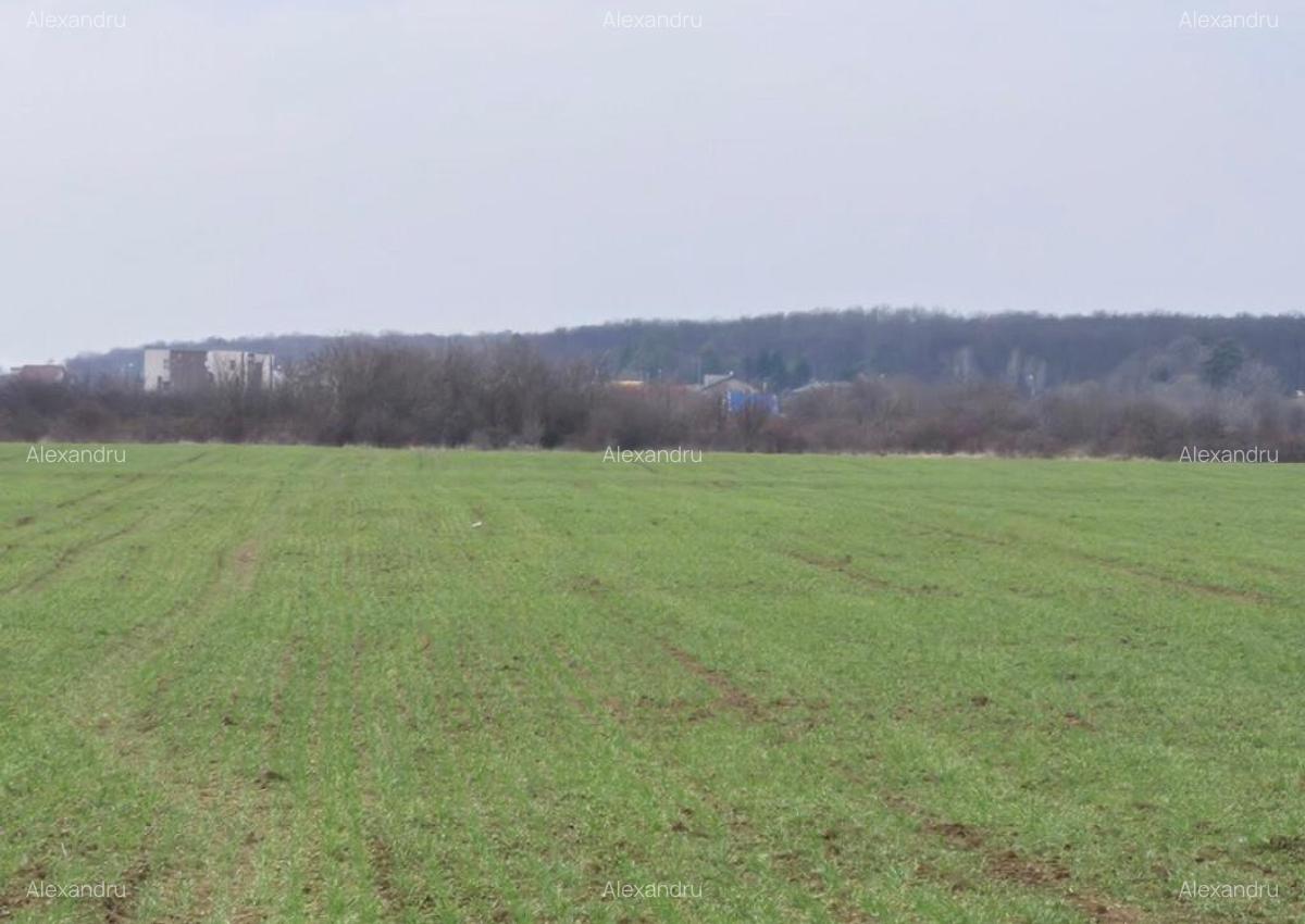 Teren intravilan ieftin Balotesti, 1100 mp, 25000 euro - 6