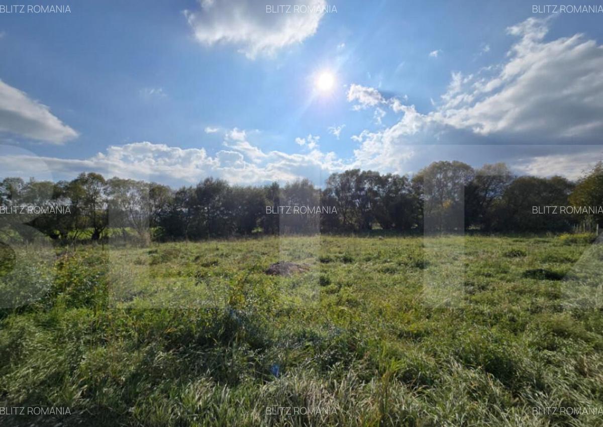 Teren intravilan 1200mp in zona Domeniul regilor - 4