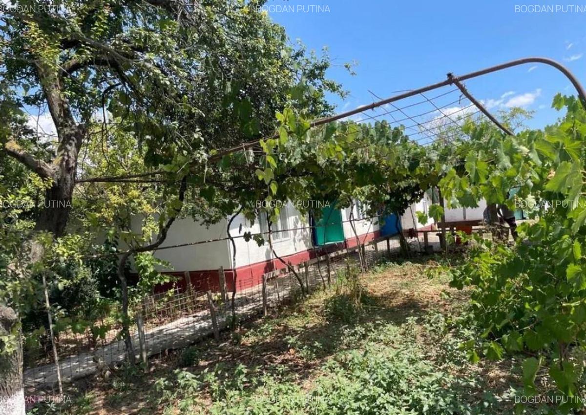 Casa cu teren 4000mp - 3