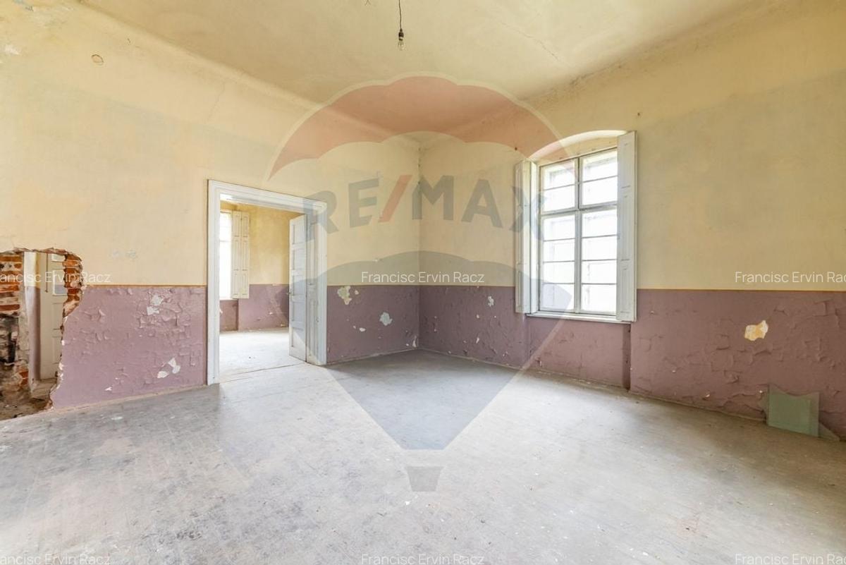 Conac aristocratic secolul XIX , domeniu  2,5 hectare -- Paulis, Arad - 12