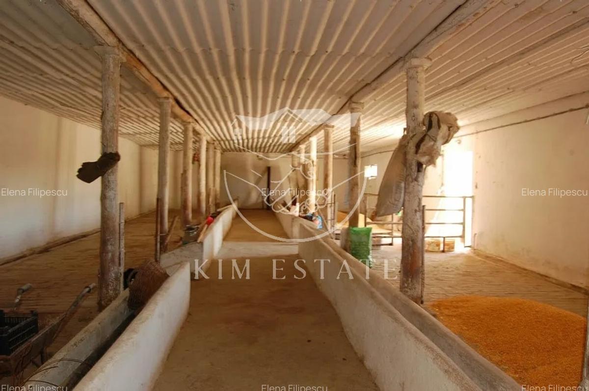 De vanzare ferma N.Balcescu - 5