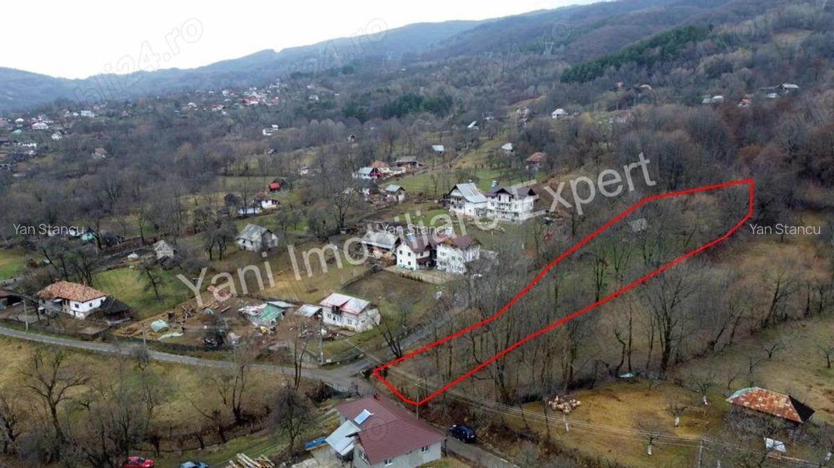 Teren de vanzare in comuna Arefu, jude? Arge?. - 5