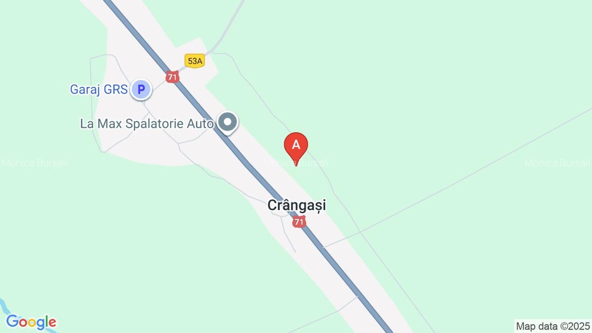 Teren cu potential - 1