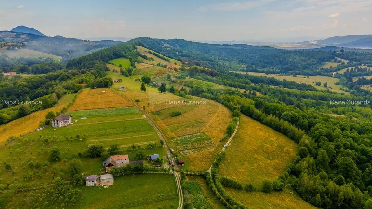 Teren Construcții intravilan de 11600 mp, în Poiana Mărului - 9