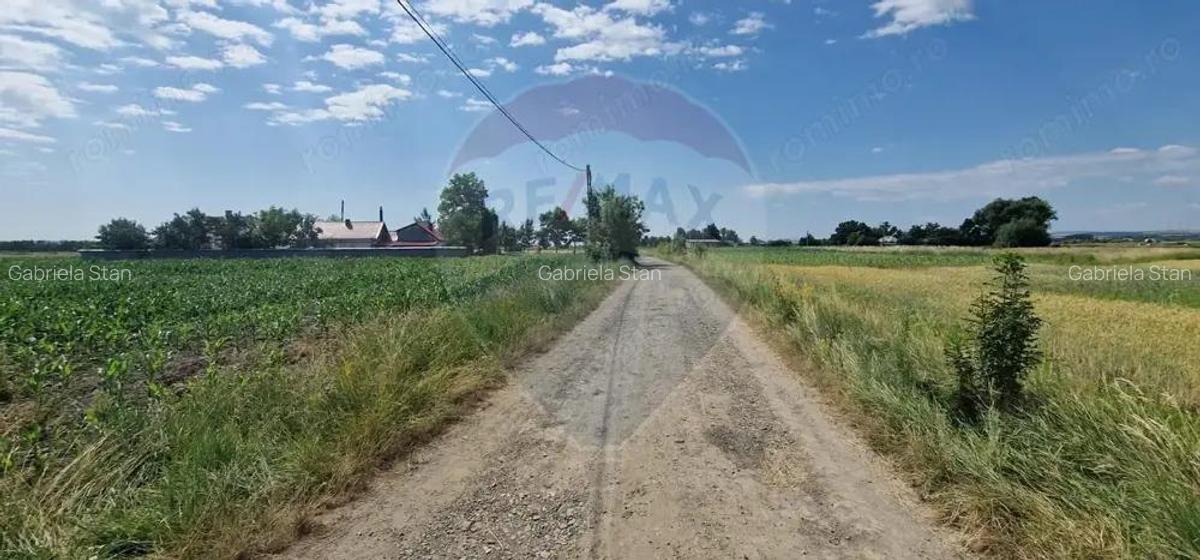 De vanzare teren 10.001 mp sat Oniscani, comuna Filipe?ti - 4