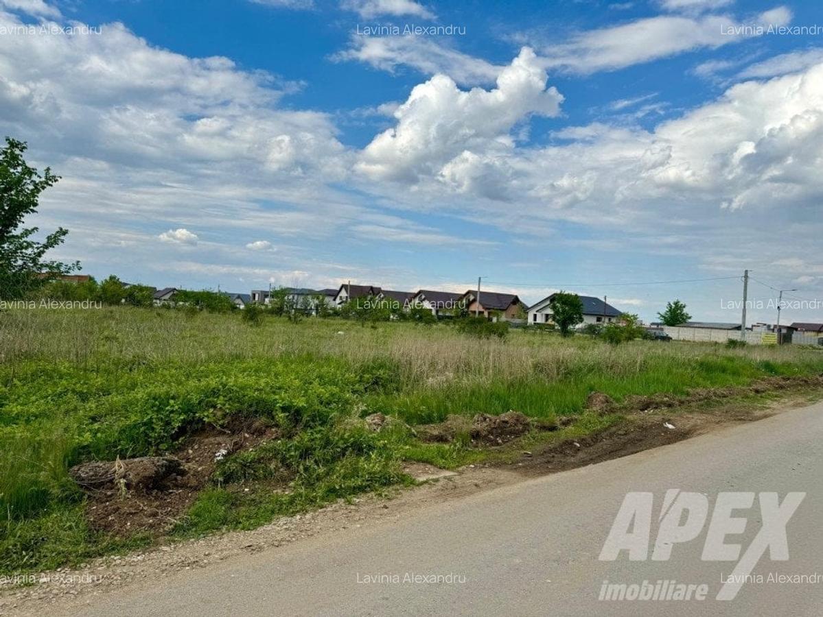 Teren intravilan 10000mp | Toate utilitatile | Zona Domnesti - 3