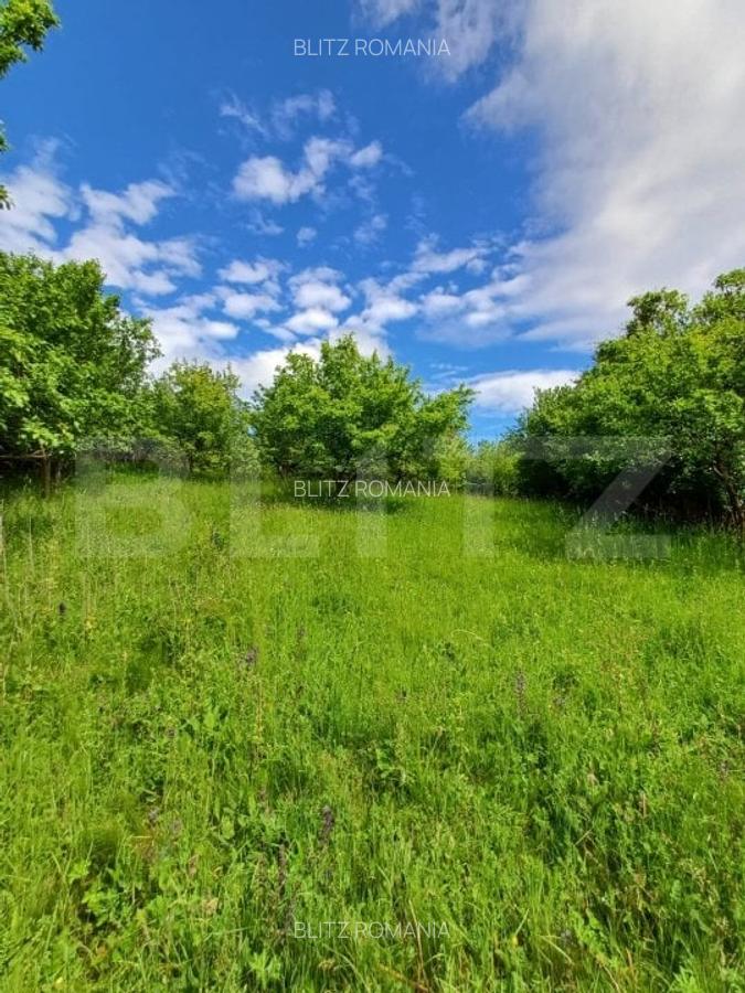 Casa 3 camere si teren 4873 mp  in Pietroasa, Moldovenești - 15