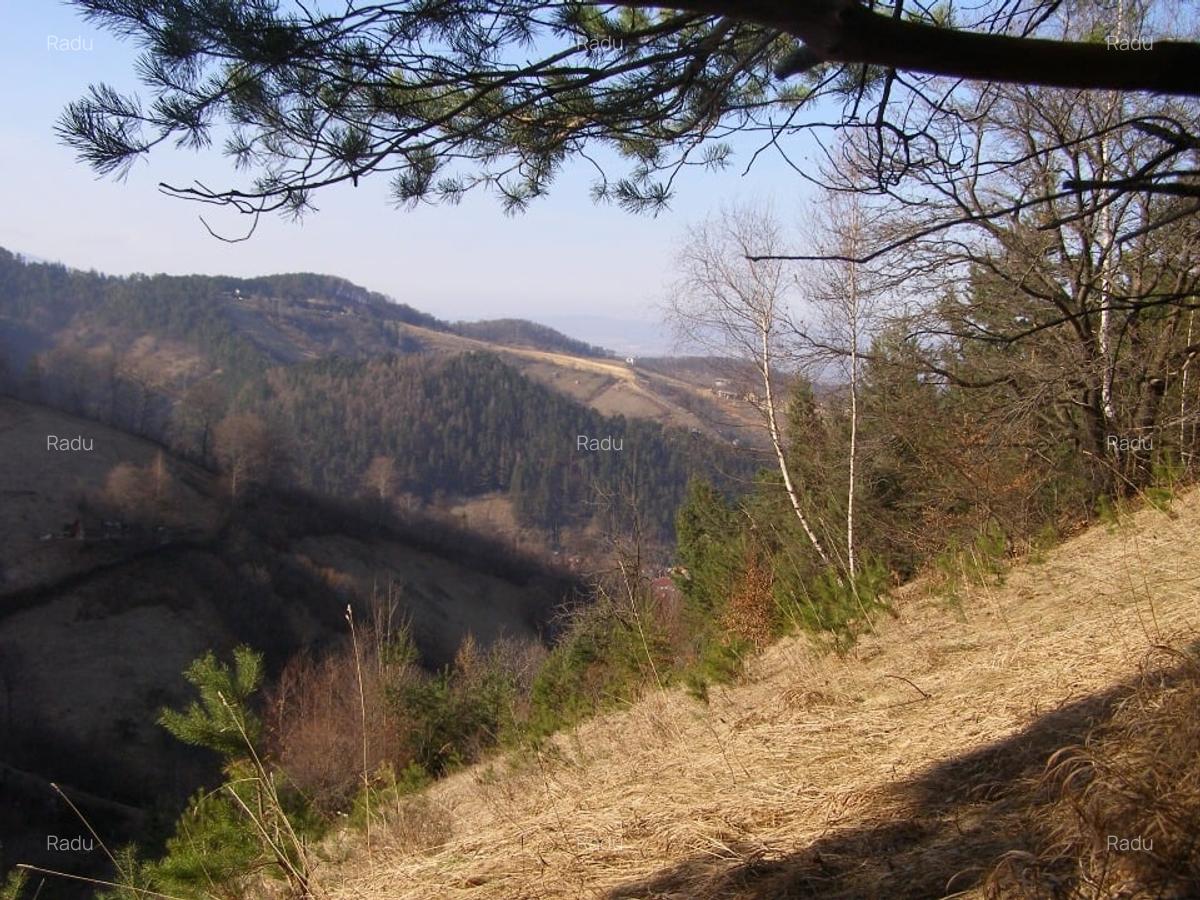 Tren intravilan si casa de lemn  in Brasov - 4