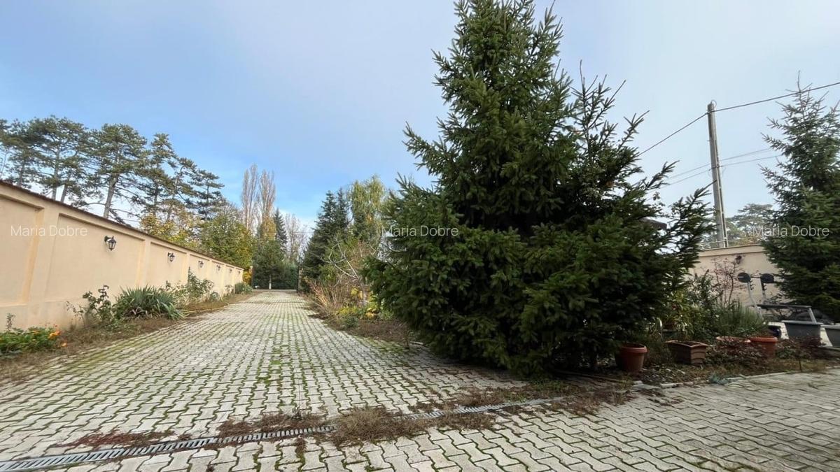 REV2005341 Vila deosebita cu piscina si teren generos Buftea zona exclusivista - 5