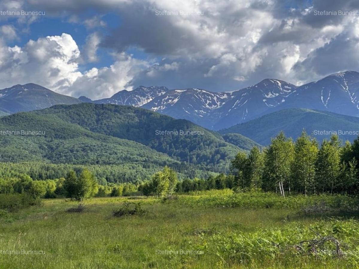 Teren  de vanzare -PUZ aprobat | 860 mp |  Valea Avrigului - 1
