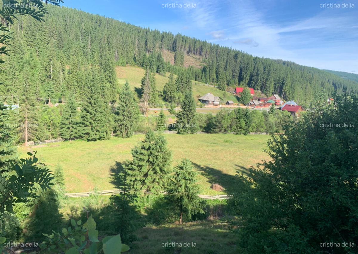 Teren intravilan in satul Poiana Horea 7700mp - 4