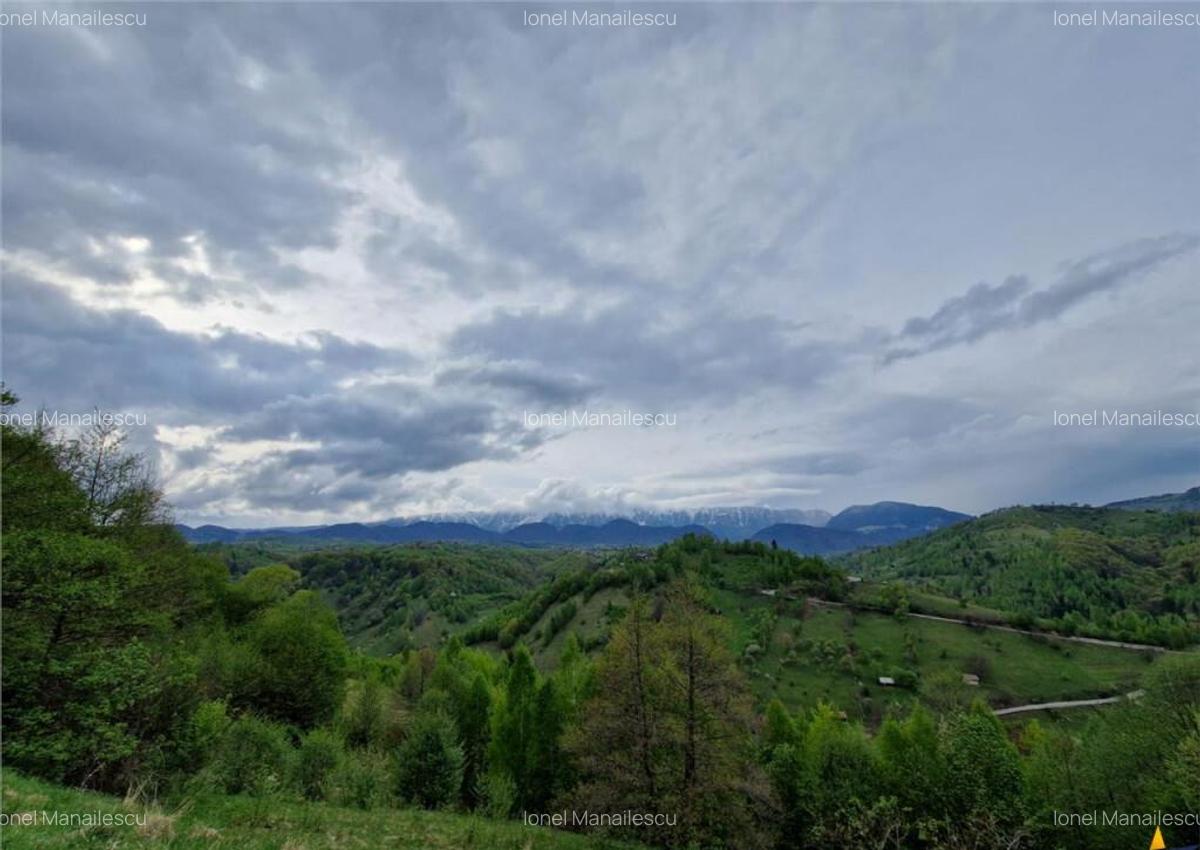 7.000 mp, pozitie spectaculoasa, fara vecini, Fundatica, Bra - 3