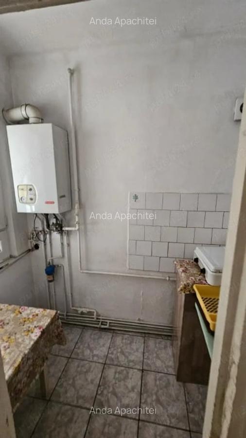 Spatiu Comercial 38 mp Faget - 3