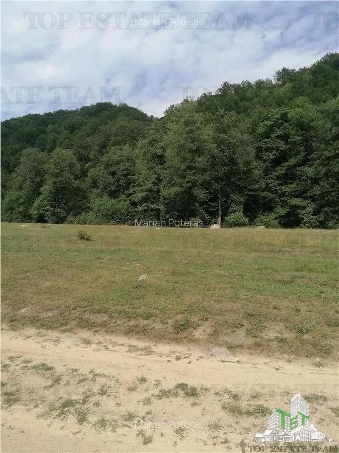 Teren intravilan - Berevoiesti - Arges - 3