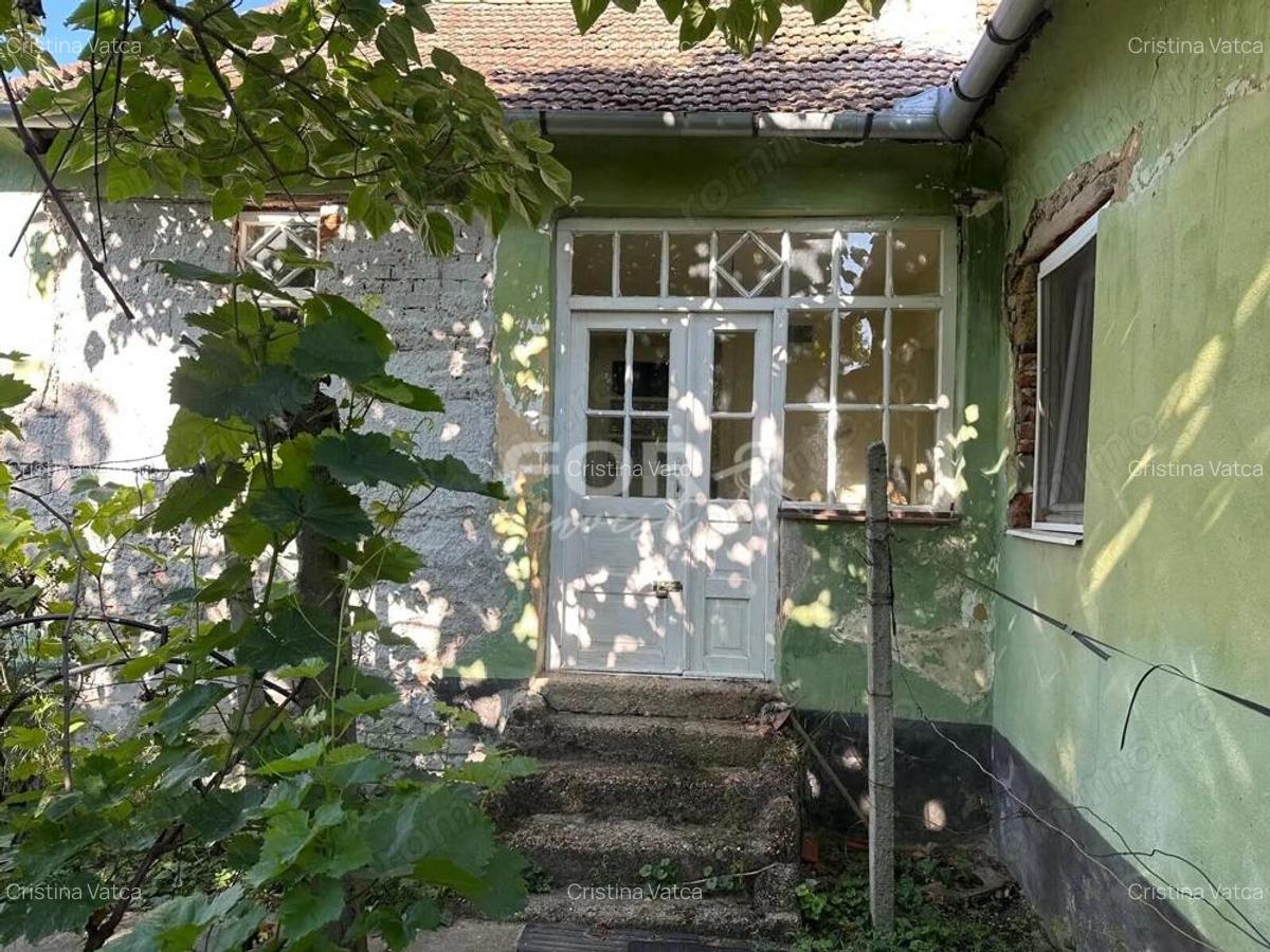 Teren intravilan de vanzare 3000 mp comuna Tamaseu Bihor - 6