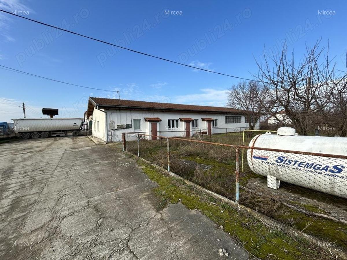 Vand teren intravilan,zona industriala,st.16,8 ha. + 8 ha.agricol,in Sanicolau Mare, la DN6,la sosea - 9