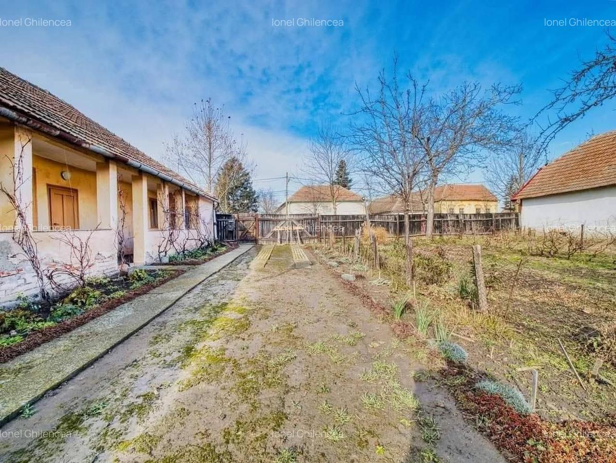 CASA DE VANZARE SANNICOLAU MARE - 2