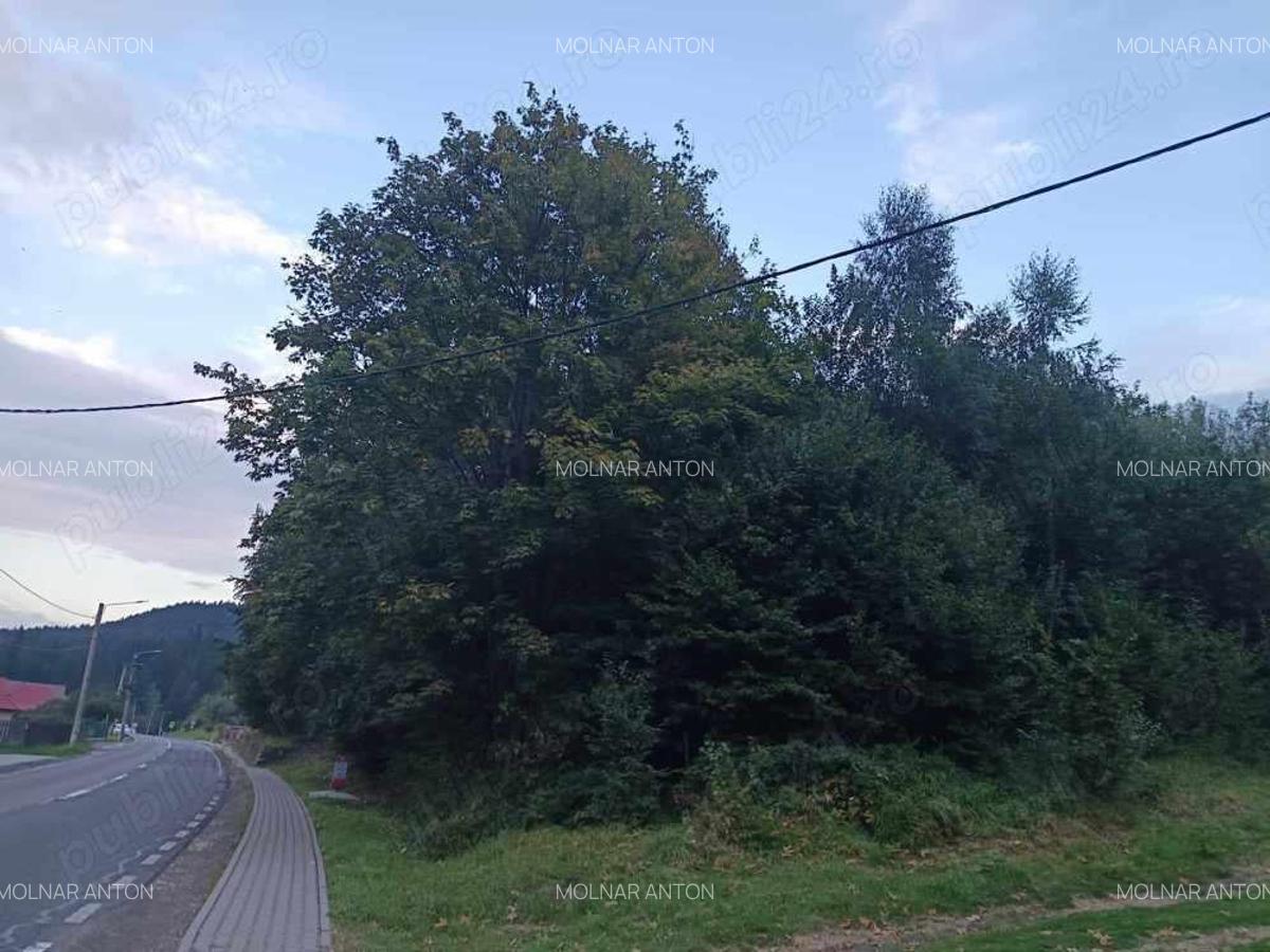 Teren inttravilan de 1000 mp de vanzare in Baile Tusnad, langa drumul principal, bun pt Hotel - 2