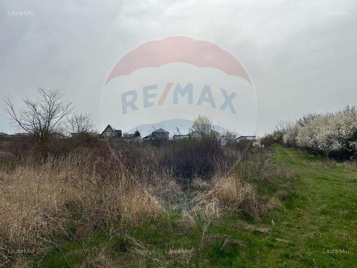 De vanzare Teren intravilan 1000 mp Balotesti / Strada Ion lahovari - 1