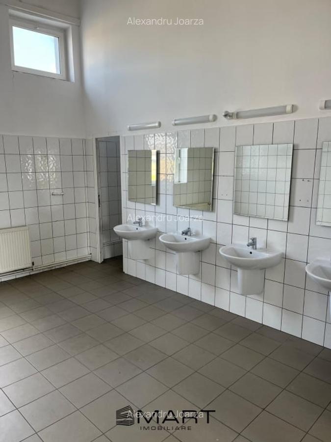 Spatii de inchiriat - Depozitare | Productie | Birouri Cisnadie - 9