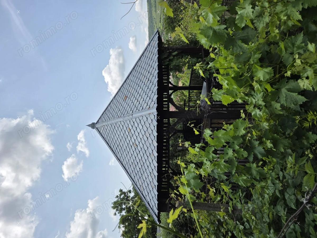 Oportunitate casa + anexe, 100 mp cu gradina 700mp - 2