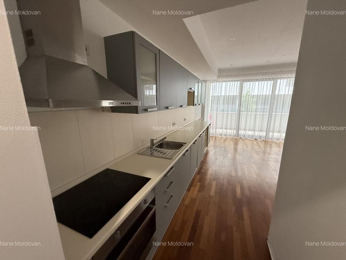 Apartament de inchiriat , 2 camere , Herastrau - 9