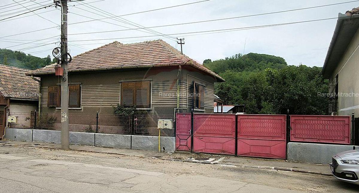Casa pe un nivel in Medias, teren 533 mp, curte dreapta - 3