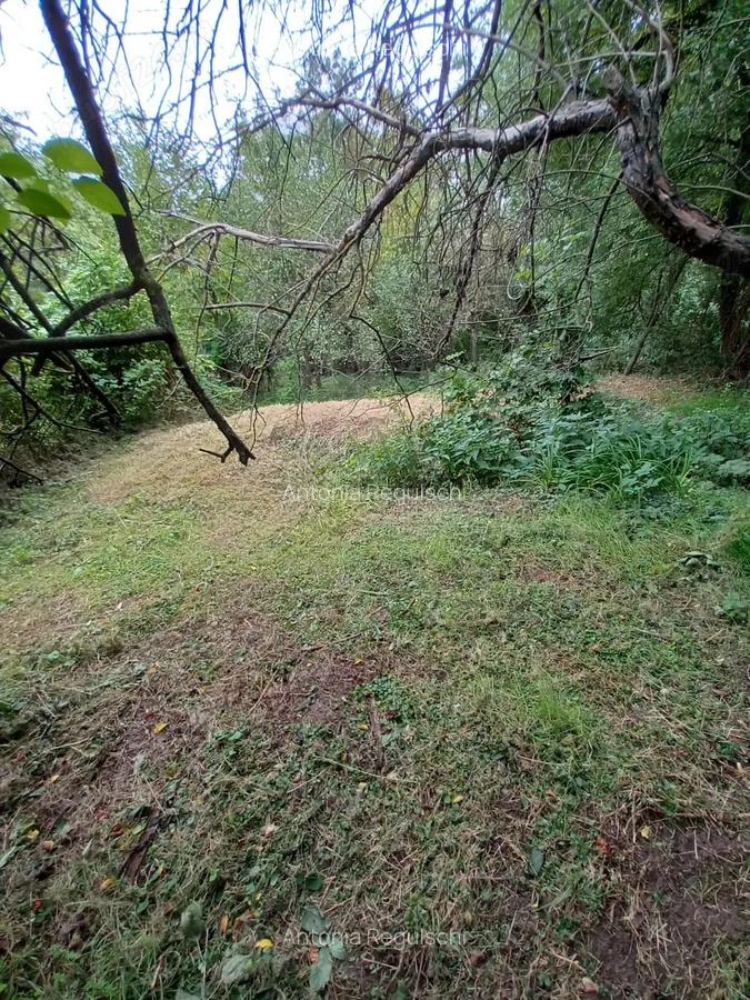 De vanzare casa batraneasca cu teren generos in Poiana Golului Re?i?a - 4 De vanzare casa batraneasca cu teren generos in Poiana Golului Re?i?a - 4