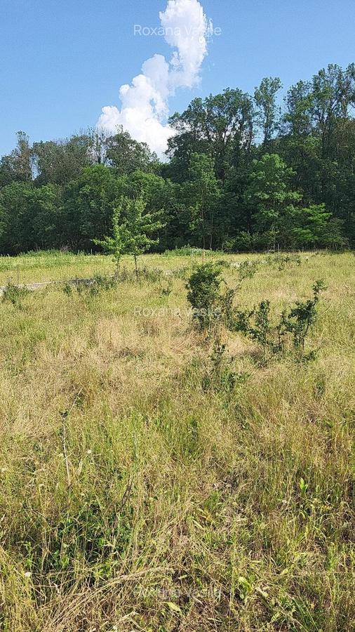 Vanzare  Teren intravilan  Matei Millo  - Teren  Pipera  Padure Baneasa - 1