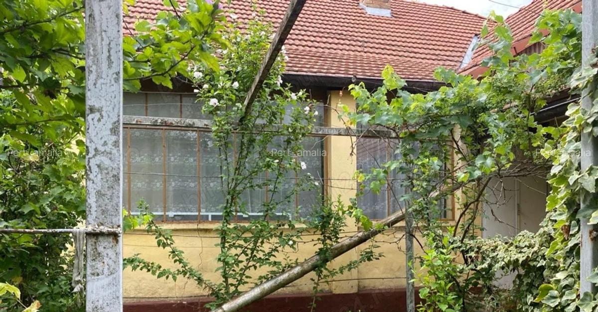 Proprietar, vand casa in Cenei, central - 6